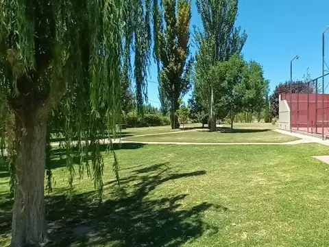 Lotes en venta Bª Privado Los Álamos Maipú Mza