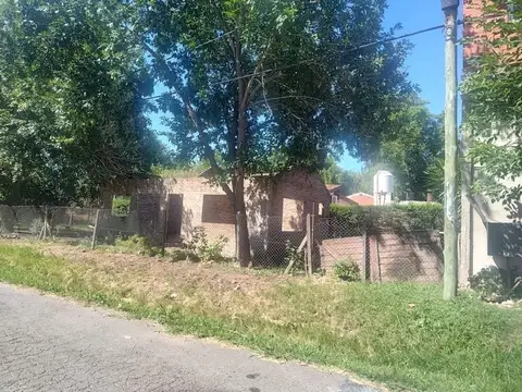 Fiorini