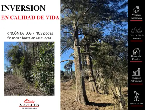 Terreno en Venta de 4382,81 m2