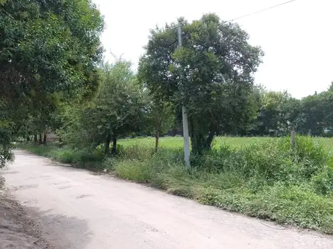 Bernardo O'higgins 8000