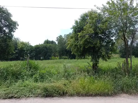 Bernardo O'higgins 8000