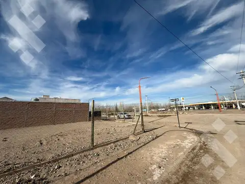Alquiler Terreno 375 m2 - B° Rincon Lindo, Cipolletti