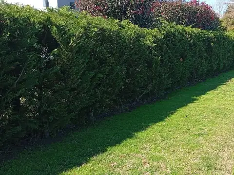 Terreno en Venta 40  mts Fondo