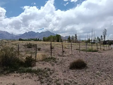 ruta provincial 100