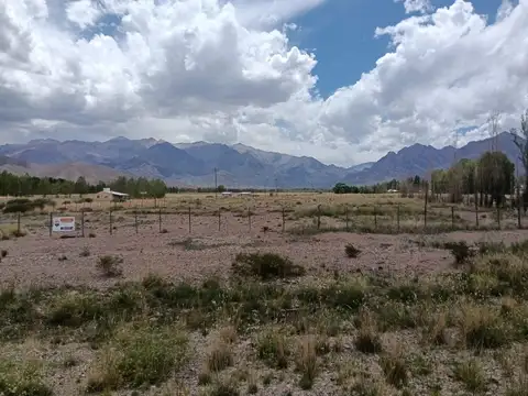 Terreno en Venta de 2000,0 m2