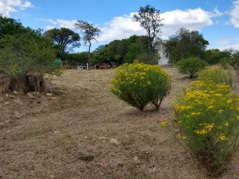 Terreno en Venta de 1543,0 m2