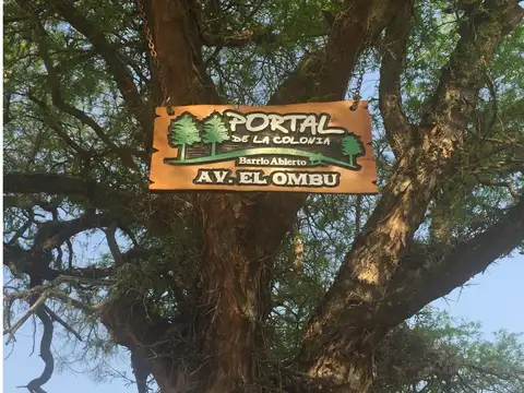 PORTAL DE LA COLONIA II - COLONIA BENITEZ - TERRENO 930m2