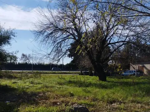 Ruta Nacional 8