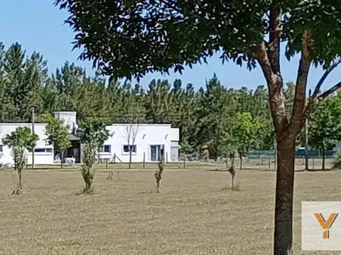 Campos De Roca II