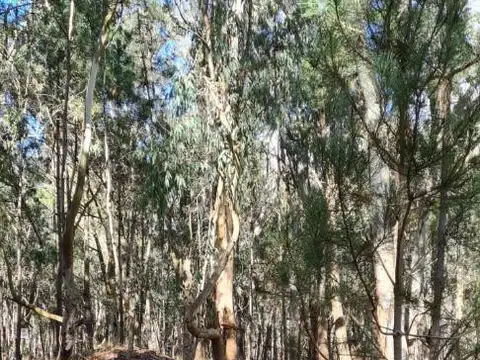 Terreno en Venta en La Lucila Del Mar, USD 55.000