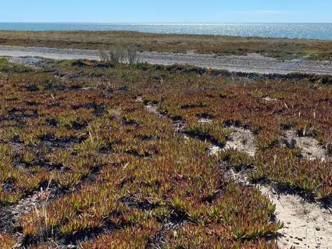 Terreno en venta - 1649mts2 - Bahía San Blas