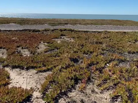 Terreno en Venta de 1649,0 m2