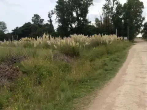 Terreno en Venta de 445,0 m2