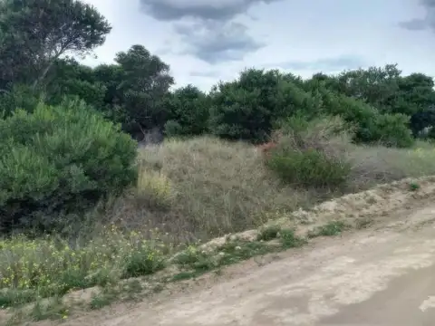 Terreno en Venta en Coronel Dorrego, USD 32.000