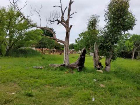 ANTONIO DE LUQUE 400