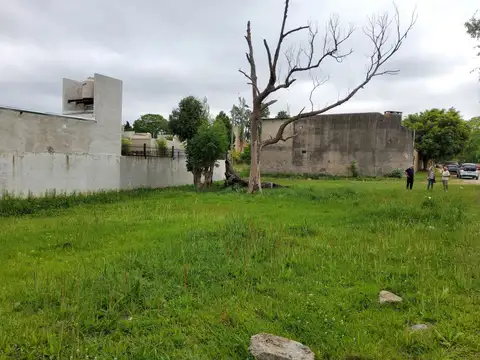 ANTONIO DE LUQUE 400