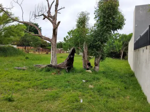 Lote - Venta - Argentina, Concordia - ANTONIO DE LUQUE 400