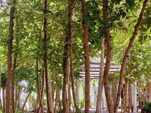 Casa en  los tralas