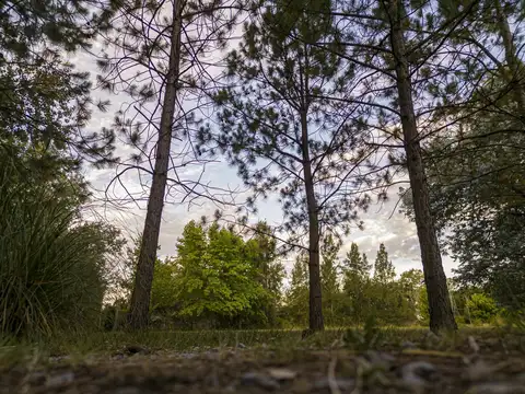 Terreno en Venta 55  mts Fondo