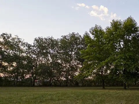 Terrenos de 950 m2 - a metros del Casco Urbano