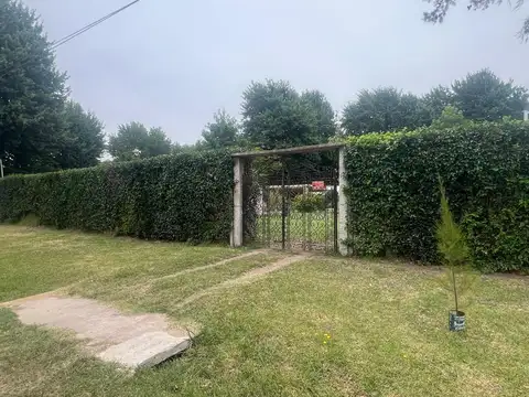 Carlos Casafoust 900