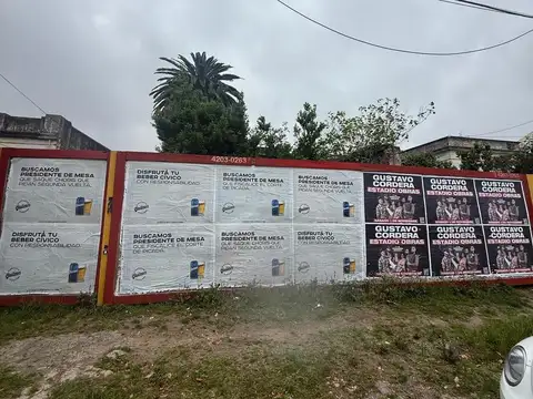 Terreno en Venta 39  mts Fondo