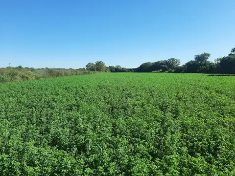 Camino al tramo 22