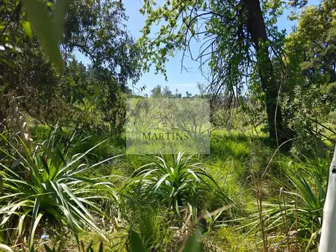 Terreno en venta en Pilar La Lonja calle Saravi