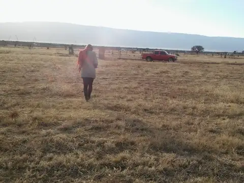 Terreno en Venta en Santa Rosa de Conlara, USD 9.000