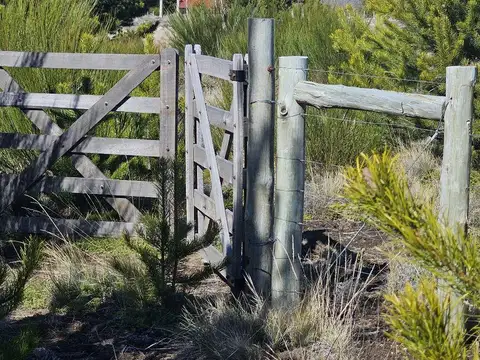 Terreno en Venta 50  mts Fondo