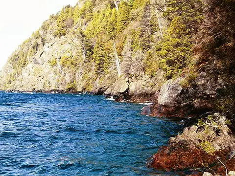 Peninsula de San Pedro