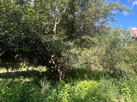 VENTA LOTE VILLA DEL TOTORAL