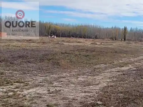 Terreno en Venta 20  mts Fondo
