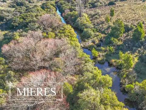 ruta 9 camino vecinal 100