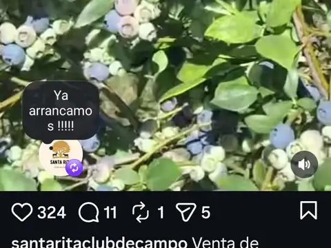 Campo  10 hectáreas Frutícola Los Cardales Exaltación de la Cruz Buenos Aires