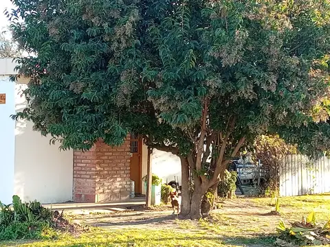 Tucumán 200