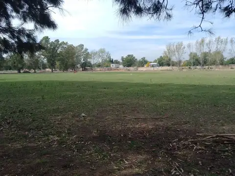 Terreno en Alquiler de 90000,0 m2