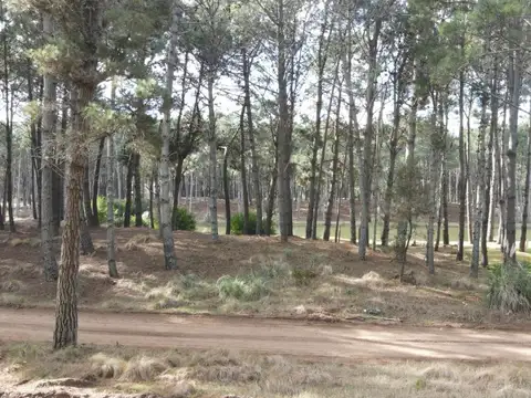 Terreno en Venta en Villarobles, USD 139.000