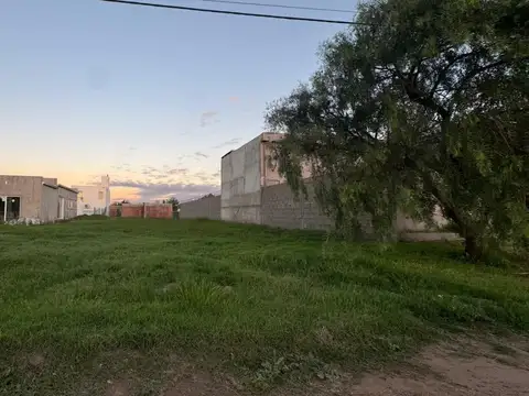 Terreno Barrio Origen