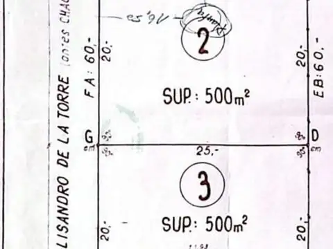 Lisandro de la Torre y Colón