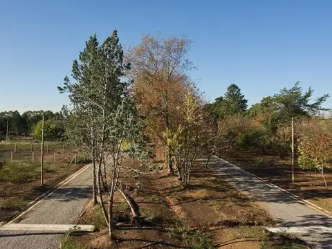 Terreno en Venta de 300,0 m2