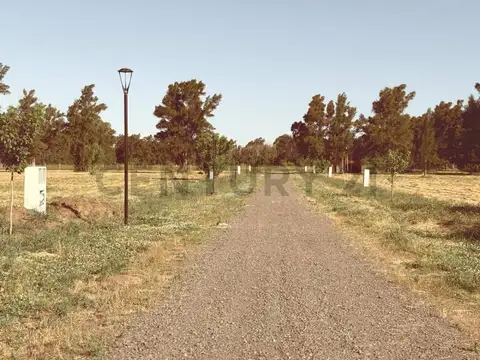 LOTES EN VENTA, LOS PINARES - ARANA 637 Y 31