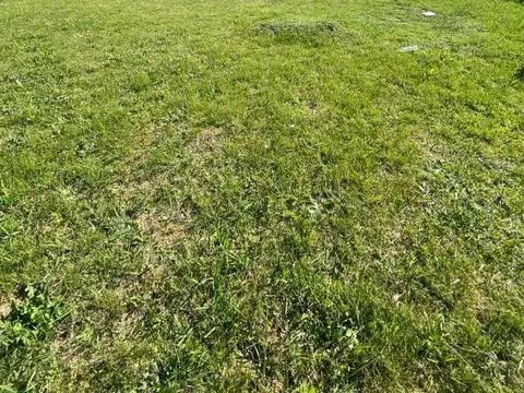 Terreno en Venta en Virrey del Pino, USD 48.000
