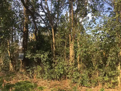 Terreno en Venta de 300,0 m2