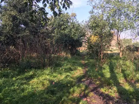 Terreno en Venta 42  mts Fondo