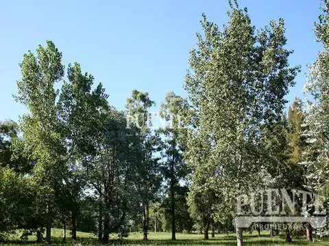 Terreno en Venta en Saint Thomas, USD 1.500.000