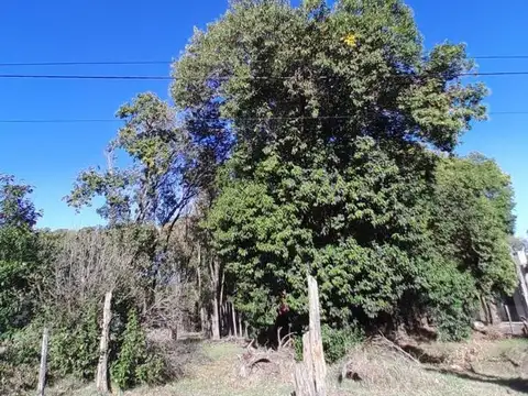 Terreno en Venta en Villa Catalina, USD 29.500