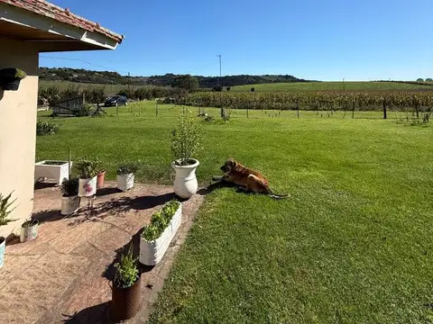 Campo en Venta Floricultura