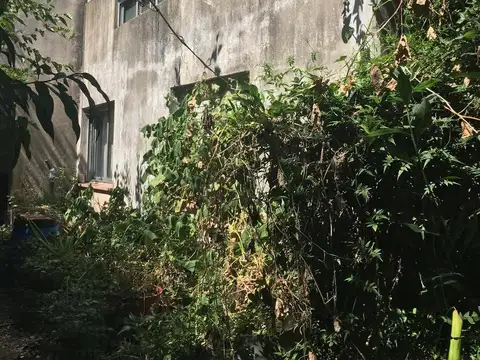 Terreno - Abasto