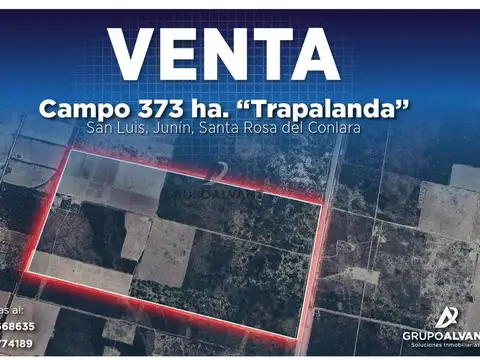 VENTA Campo 373 ha. Estancia “Trapalanda”
